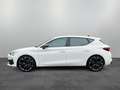CUPRA Leon VZ 2.0 TSI DSG / LED, ACC, Navi, SHZ, DAB+ Weiß - thumbnail 4