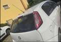 Fiat Punto Evo 5p 1.4 Active Gpl 77cv Bianco - thumbnail 2
