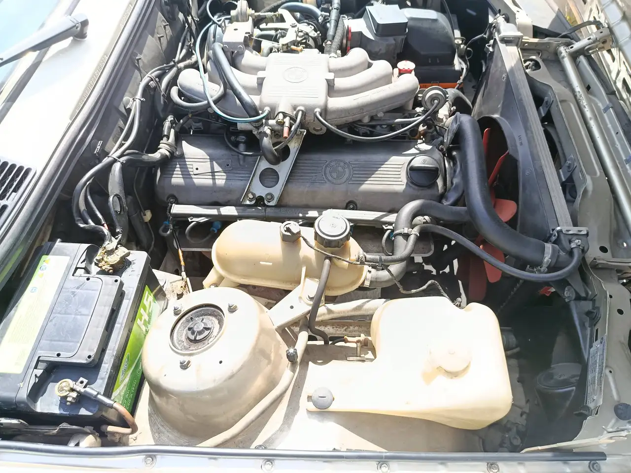 BMW 323i, foto 7