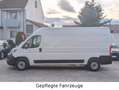 Fiat Ducato DUCATO NEW MODEL L3H2 Kasten Kamera, Navi, Apple Weiß - thumbnail 2