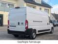 Fiat Ducato DUCATO NEW MODEL L3H2 Kasten Kamera, Navi, Apple Weiß - thumbnail 12