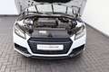 Audi TT 2.0 16V TFSI S line  PDC LED VC Alcantara Weiß - thumbnail 13