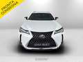 Lexus UX 250h 250h 2.0 premium 2wd cvt Bianco - thumbnail 2