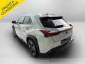 Lexus UX 250h 250h 2.0 premium 2wd cvt Bianco - thumbnail 7