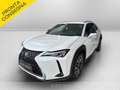 Lexus UX 250h 250h 2.0 premium 2wd cvt Bianco - thumbnail 1