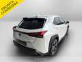 Lexus UX 250h 250h 2.0 premium 2wd cvt Bianco - thumbnail 5
