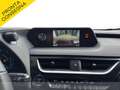 Lexus UX 250h 250h 2.0 premium 2wd cvt Bianco - thumbnail 15