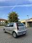 Fiat Punto 3p 1.2 Classic Dynamic - thumbnail 2
