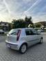 Fiat Punto 3p 1.2 Classic Dynamic - thumbnail 3