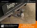 Mercedes-Benz CLA 220 d SB AMG/MULTIBEAM/AHK/DISTRONIC/Keyless Noir - thumbnail 10