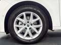 SEAT Leon 2.0TDI S&S Style XS 115 Blanco - thumbnail 8