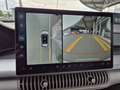 BYD Dolphin G DM-i Comfort Orange - thumbnail 11