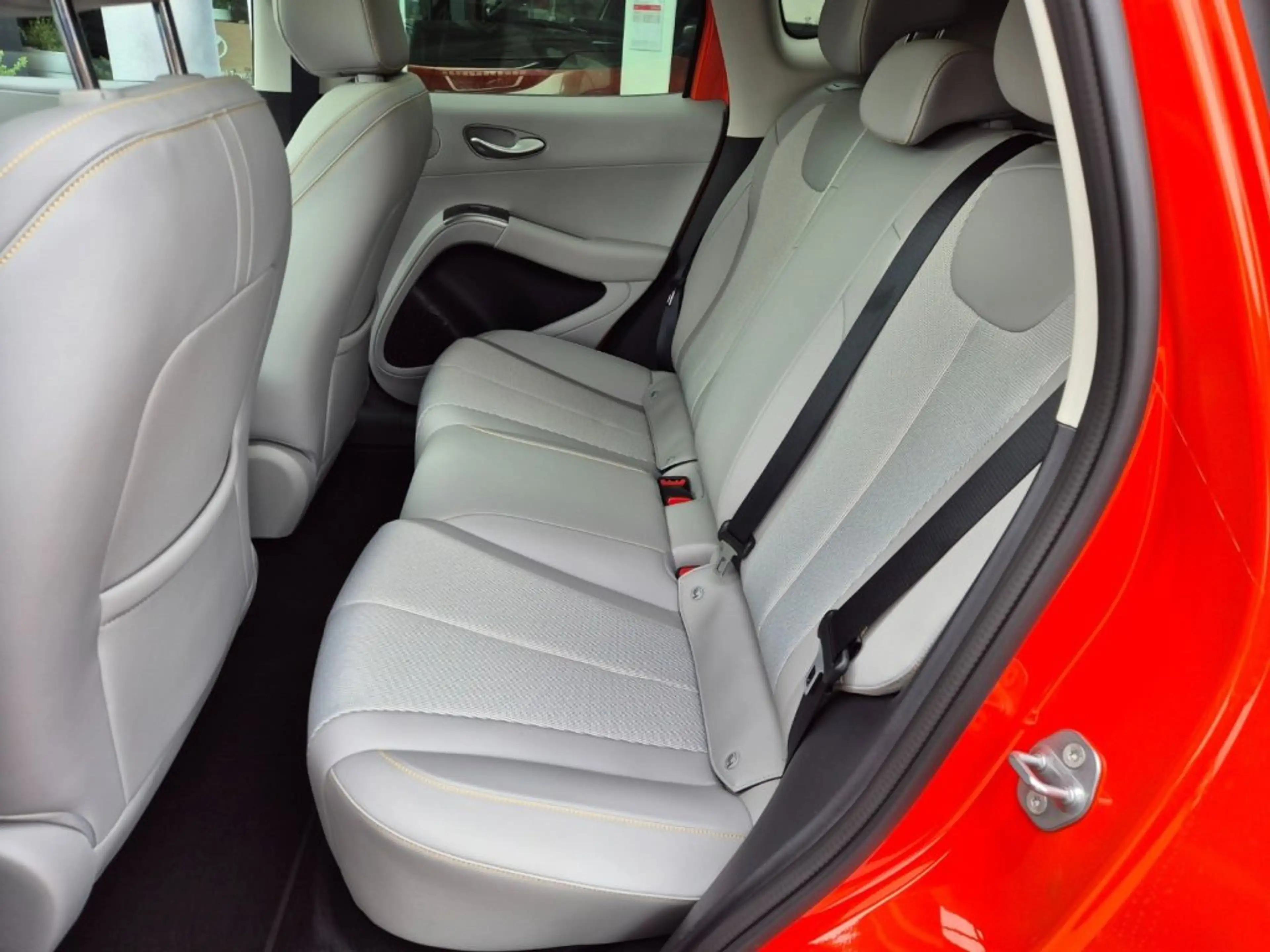 BYD Dolphin G DM-i Comfort — photo 13