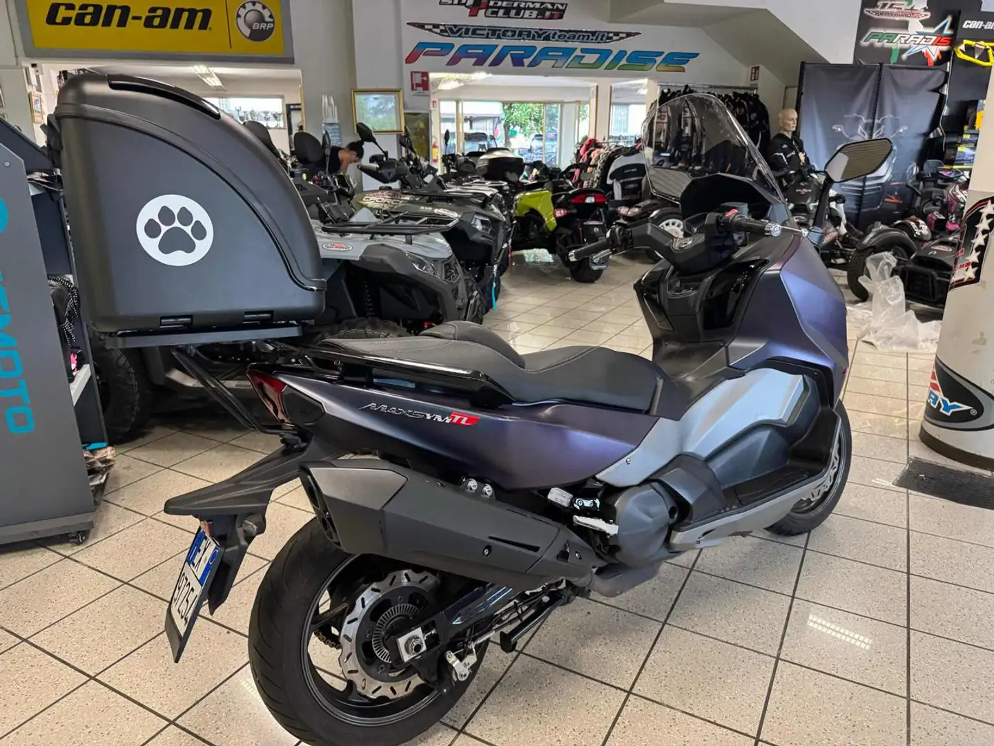 SYM Maxsym TL 500 508 Grigio - 1