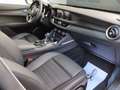 Alfa Romeo Stelvio Stelvio 2.2 t Business Q4 210cv auto my19 Bleu - thumbnail 26
