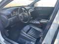 Volkswagen Phaeton 3.0 TDI 4-Sitzer ACC*Solar*Kam*Stdh*Massage*19 Weiß - thumbnail 12