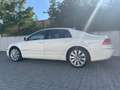Volkswagen Phaeton 3.0 TDI 4-Sitzer ACC*Solar*Kam*Stdh*Massage*19 Weiß - thumbnail 2