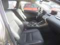 Lexus NX 300 300h Executive Navigation 4WD Szary - thumbnail 3