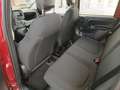 Fiat Panda 3ª serie 1.0 FireFly S&S Hybrid - thumbnail 10