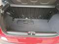 Fiat Panda 3ª serie 1.0 FireFly S&S Hybrid - thumbnail 11