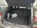 Ford Kuga 2.5 PHEV ST-Line X Black Pack 243pk e-CVT Automaat Grau - thumbnail 7