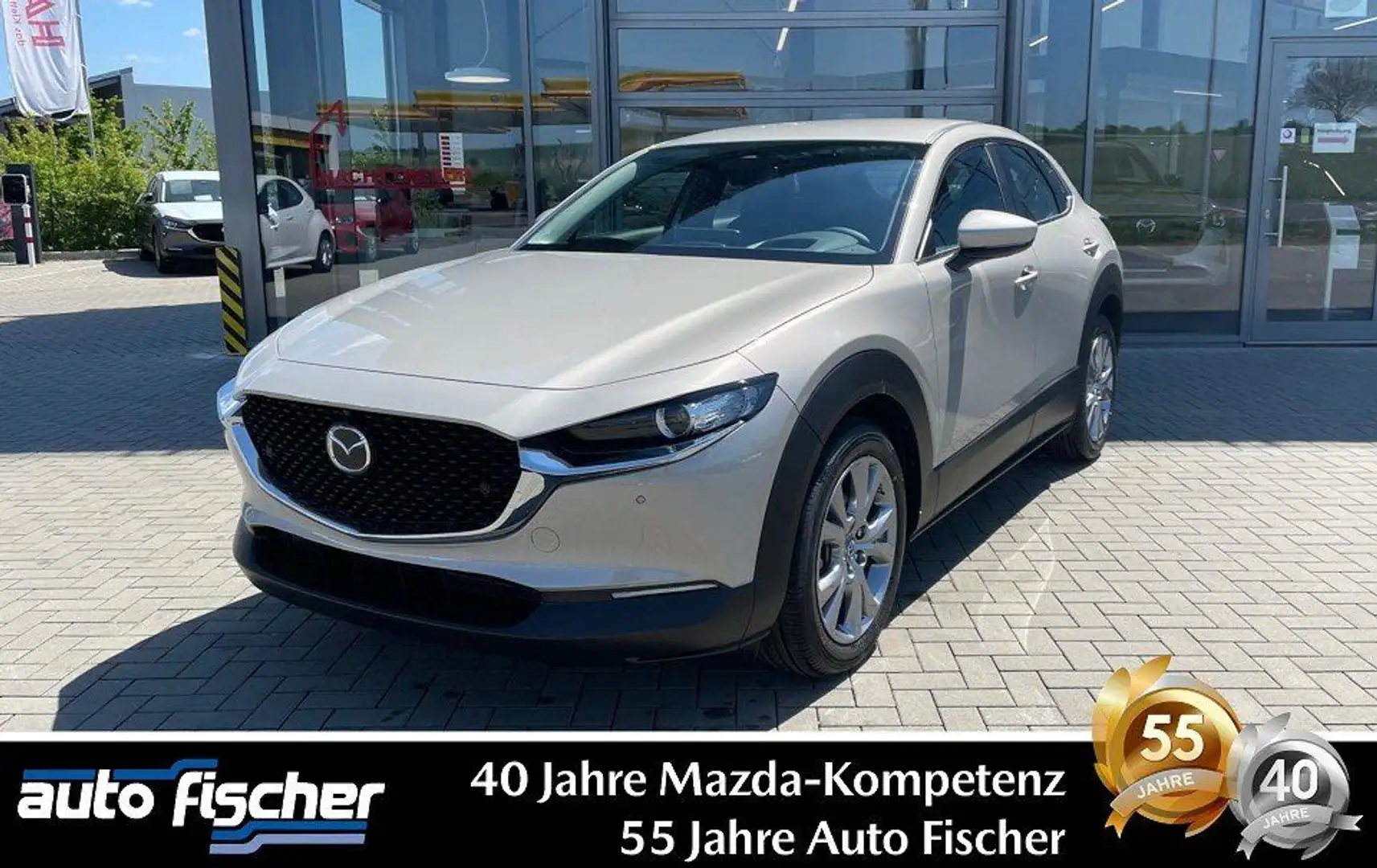 Mazda CX-30 2.5 (140PS) Autom. Centre-Line Daso-P. 360 Beige - 1