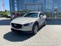 Mazda CX-30 2.5 (140PS) Autom. Centre-Line Daso-P. 360 Beige - thumbnail 2