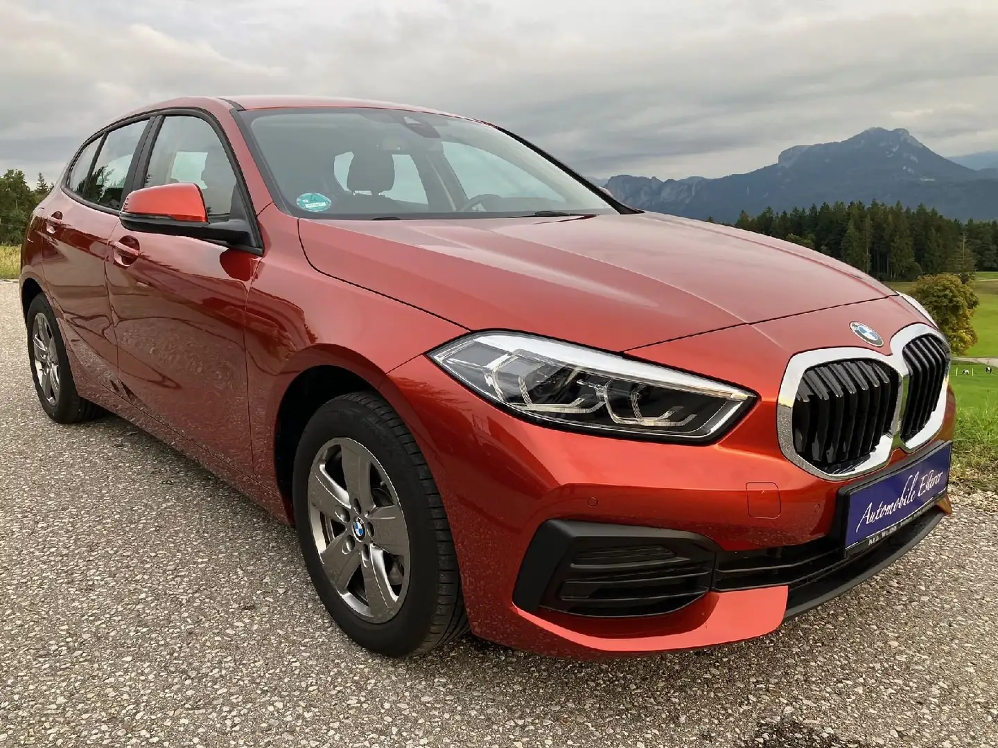 BMW 116 116 i Advantage, Navi, PDC, WLan, LED, Klimaaut. Orange - 2