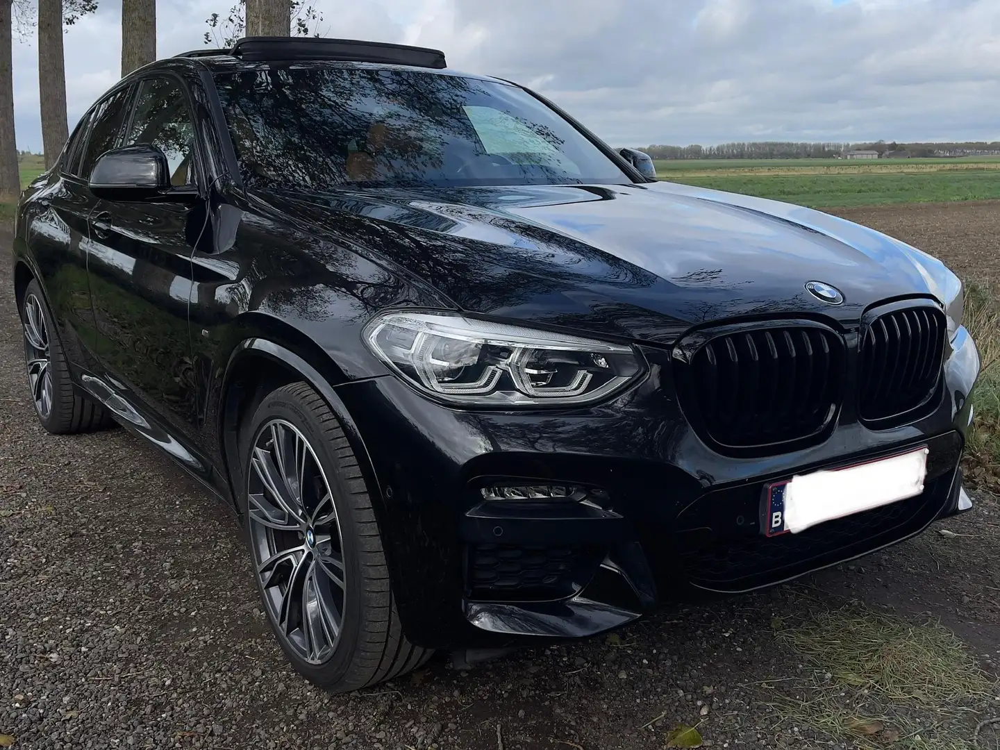 BMW X4 X4 xDrive M pakket Zwart - 1