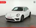 Volkswagen Beetle 1.2 TSI Allstar Navi Kamera Sitzheizung Blanc - thumbnail 1