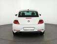 Volkswagen Beetle 1.2 TSI Allstar Navi Kamera Sitzheizung Blanc - thumbnail 4