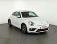 Volkswagen Beetle 1.2 TSI Allstar Navi Kamera Sitzheizung Blanc - thumbnail 7
