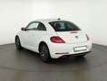 Volkswagen Beetle 1.2 TSI Allstar Navi Kamera Sitzheizung Blanc - thumbnail 3