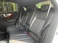 Infiniti QX70 3.7 320 s premium awd bva Blanc - thumbnail 8