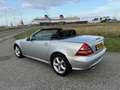 Mercedes-Benz SLK 320 Schitterend SLK R170 V6 Automaat! Grijs - thumbnail 17