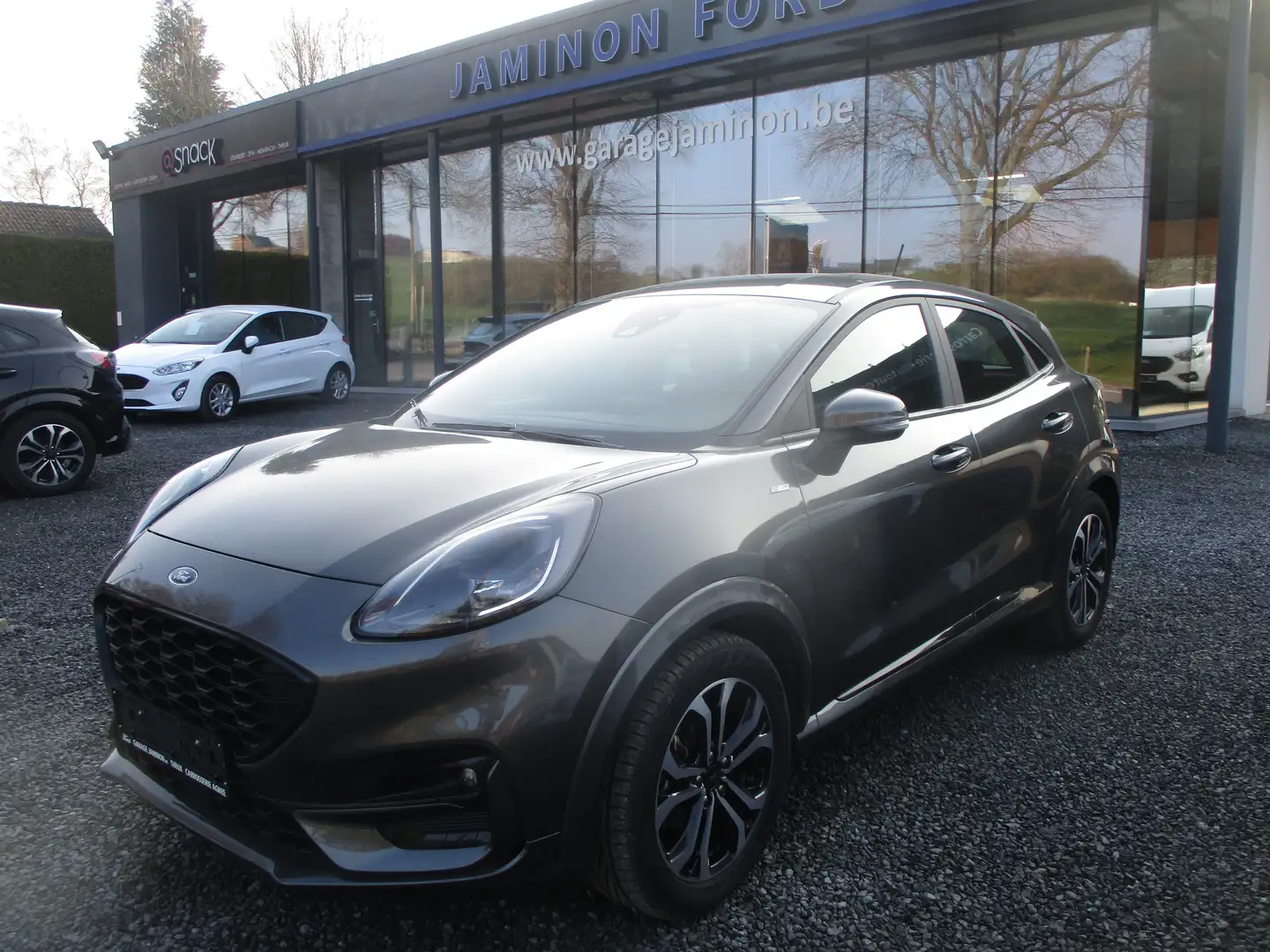 ford puma