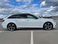 Audi A4 Avant 3.0 TDI quattro S tronic - thumbnail 1