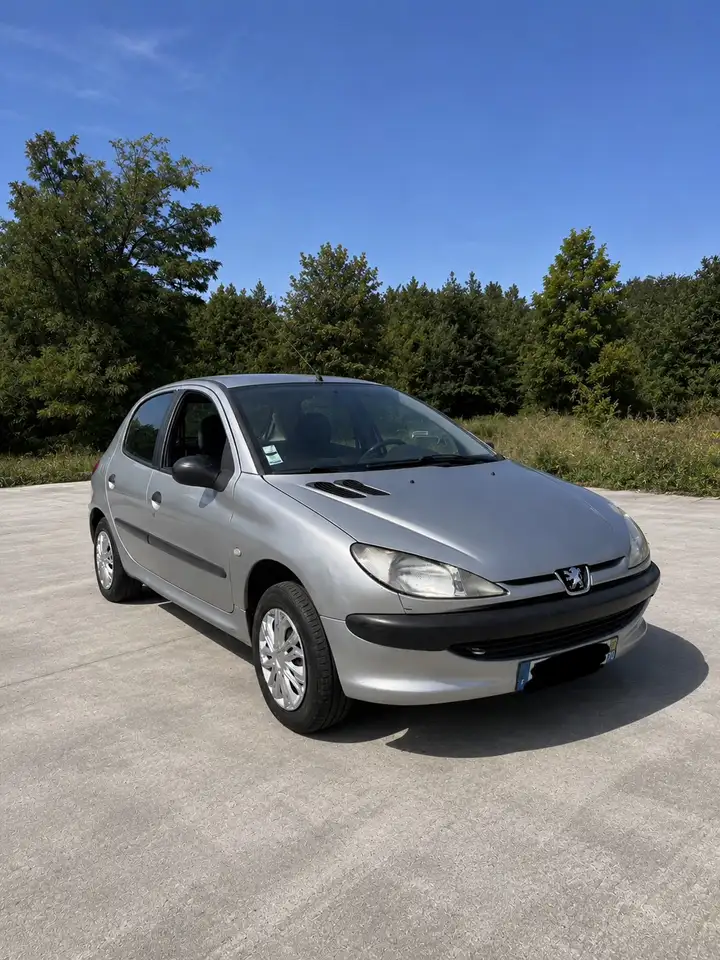 Peugeot 206 1.9 D XT, foto 1