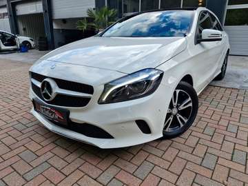 BlueEfficiency 2.Hand Org. 39tkm Pano