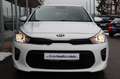 Kia Rio Spirit 1.2*KAMERA*NAVI*SHZ*TEMP*DAB* Weiß - thumbnail 16