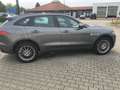 Jaguar F-Pace 20d AWD Aut. R-Sport, Navi, Meridian Grau - thumbnail 9