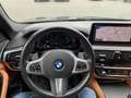BMW 530 d xDrive M Sport,20"/Driving AssistantProfessional Schwarz - thumbnail 21