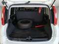 Fiat Panda 1.3 mtj van IVA ESCLUSA Bianco - thumbnail 9