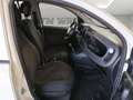 Fiat Panda 1.3 mtj van IVA ESCLUSA Bianco - thumbnail 10