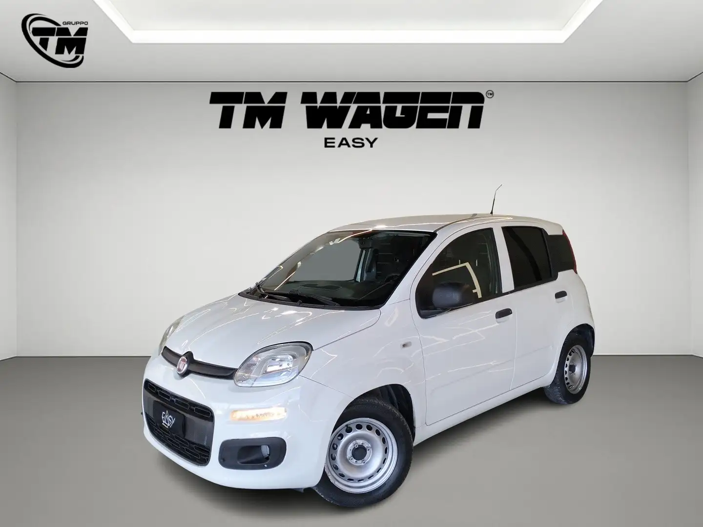 Fiat Panda 1.3 mtj van IVA ESCLUSA Bianco - 1