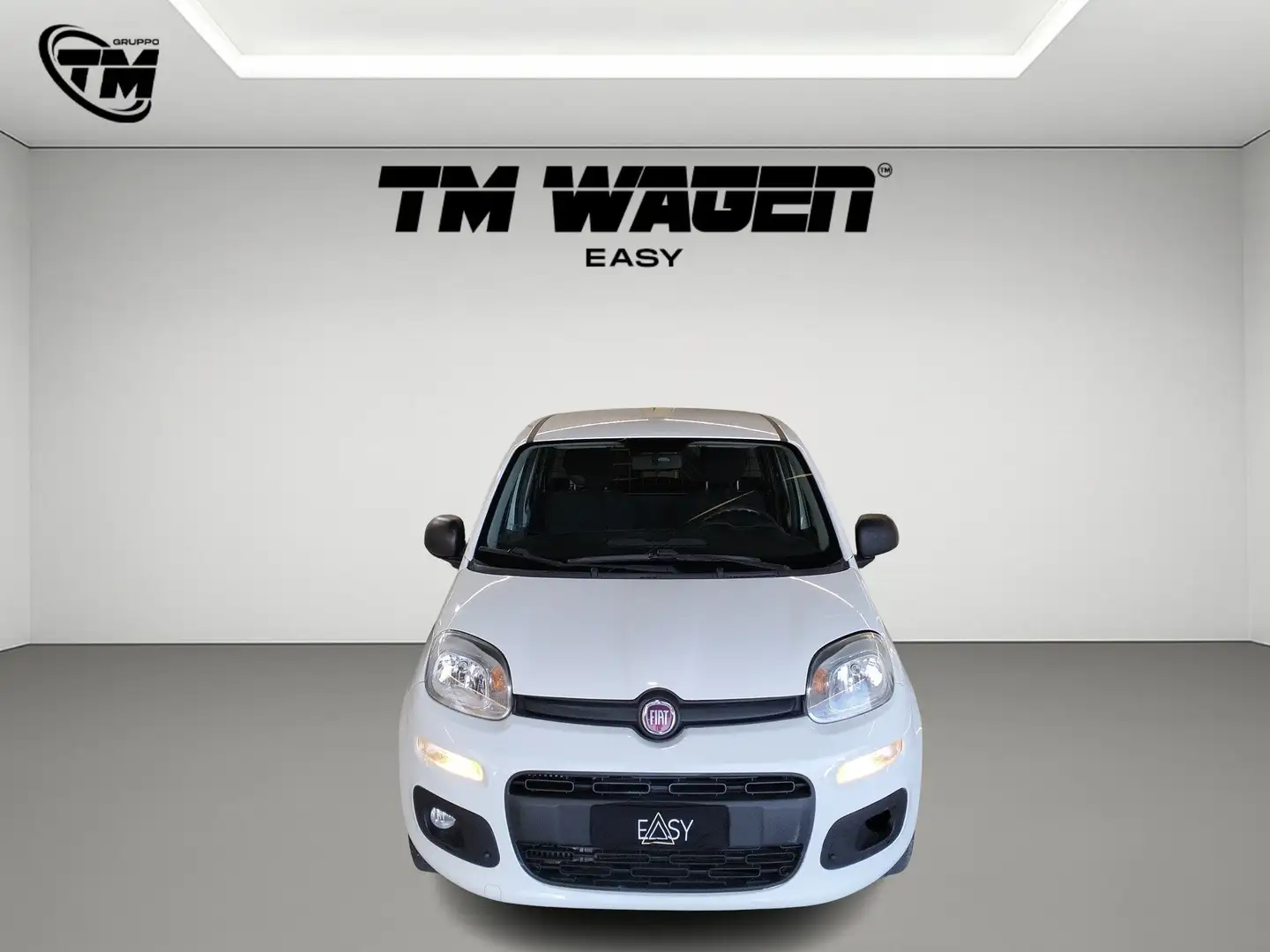 Fiat Panda 1.3 mtj van IVA ESCLUSA Bianco - 2