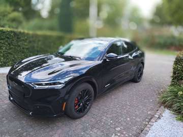 Mustang Mach-E 76 kWh RWD Standard Range