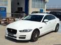 Jaguar XE 2.0 D 180 CV aut. Prestige Bianco - thumbnail 3