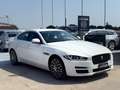 Jaguar XE 2.0 D 180 CV aut. Prestige Bianco - thumbnail 1