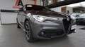 Alfa Romeo Stelvio 2.2 Turbodiesel 210 CV AT8 Q4 Veloce Grigio - thumbnail 10